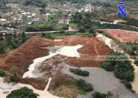 The debate reflects growing frustration over the impact of galamsey on Ghana's forests