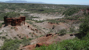 Olduvai Gorge. Photo: Wikimedia Commons/Ingvar