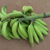 A bunch of plantain