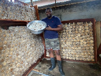 Agribusiness entrepreneur, John Dumelo