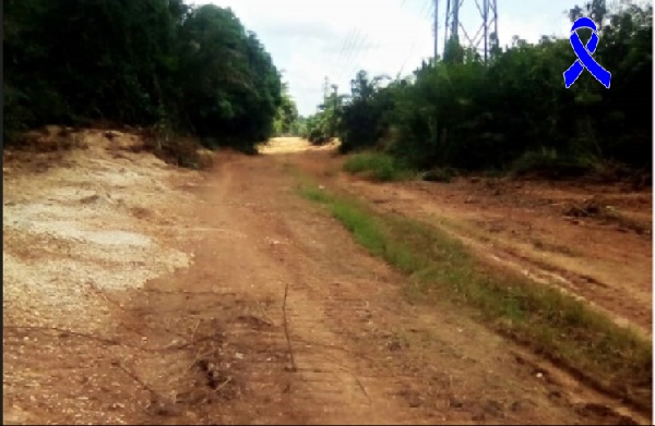 The illegal activities have damaged high-tension power lines within the concession