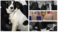 A photo of Pickles the dog and Jules Rimet Trophy