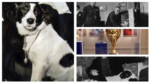 Meet Pickles, The Dog Who Found The Stolen FIFA World Cup In 1966