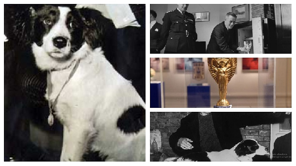 A photo of Pickles the dog and Jules Rimet Trophy