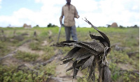 File photo of a farmer