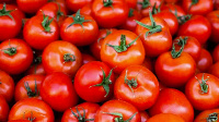 File photo: The tomato traders are determined to continue with their strike action