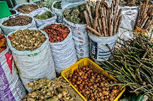 Traditional Medicinal Plants Photo WHO