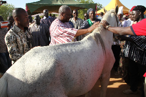 File photo: John Mahama strokes a white horse presented to him by Bawku Naba in 2014