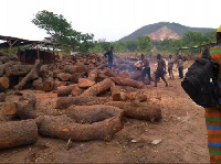 Logs of hardwood are cut to fit inside brick ovens at the charcoal factory in Obimo