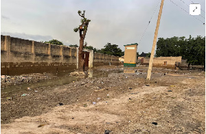 The floods also impacted a state-owned zoo, releasing crocodiles and snakes into communities