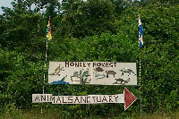 File photo of the Komenda Forest Reserve