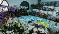 Persons in the floricultural sector continue to suffer the impact of the COVID-19