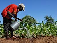 File photo of a farmer