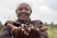 The initiative will help smallholder farmers across the continent