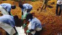 Guinea dey record new Ebola cases