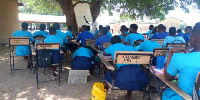 Students are seen studying under a tree