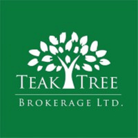 Teak Tree