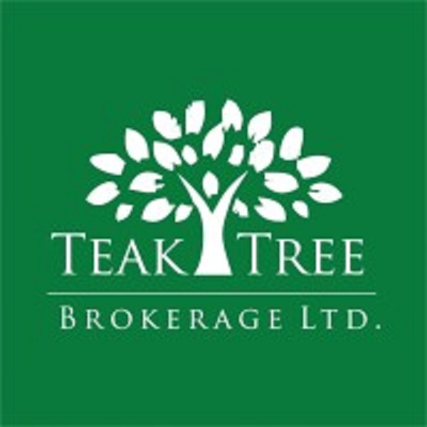 Teak Tree