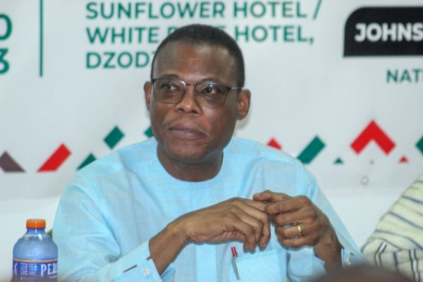 Fifi Fiavi Kwetey, NDC General Secretary