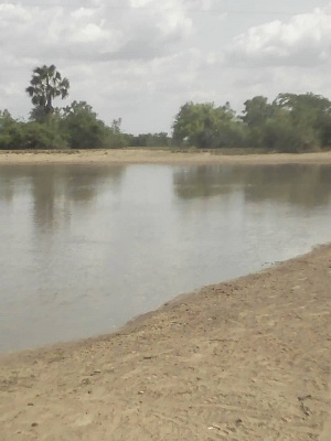 The two communities rely on a small and absolutely muddy dam for their water.