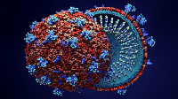 Di new Omicron variant of di Coronavirus