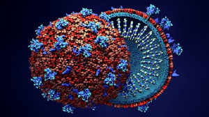 File photo/Coronavirus