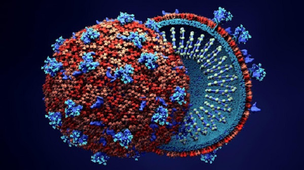 There has been a surge in coronavirus cases in the country