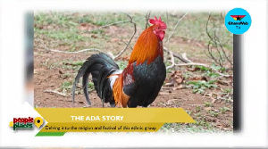 The cock is the main symbol of the Ada People