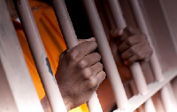 Seven NPP activists have been remanded in prison custody