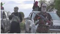 Terrorist group, Boko Haram