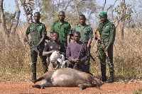 Two notorious poachers arrested in Mole National Park