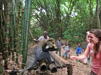 Tourists at the monkey santuary