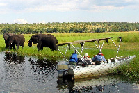 File photo: Elephant park