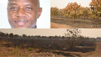 Michael Gyato's plantation which was burnt