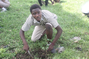 Tree Planting77.jpeg