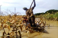 A total of 1,605 people had their farmlands washed away