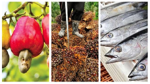 Cashew nuts, palm oil and tuna dominated as non traditional exports commodities for Q1 2021