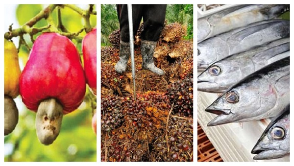 Cashew nuts, palm oil and tuna dominated as non traditional exports commodities for Q1 2021