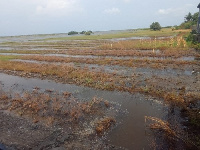 Some flooded farms