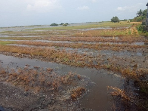 Some flooded farms