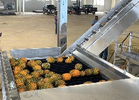 Ekumfi Juice Factory