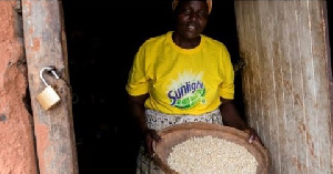 Zimbawe Grains