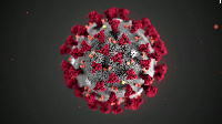 File photo: The Novel Coronavirus has claimed over 150,000 lives globally