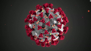 Coronavirus111