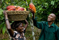 Cocoa farmers excited about change in the sector