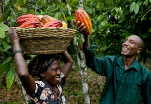 Cocoa farmers excited about change in the sector