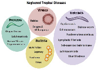 Neglected Tropical Diseases