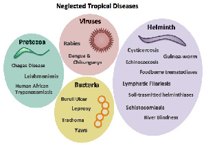 Neglected Tropical Diseases