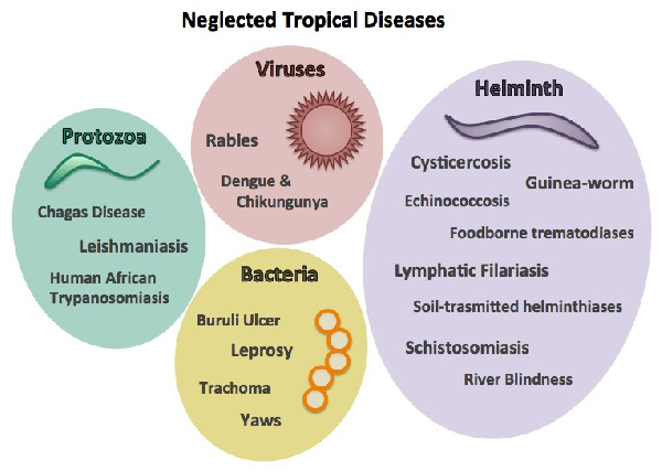 Neglected Tropical Diseases