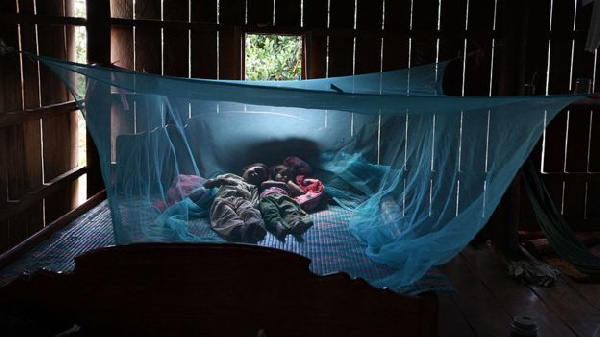 Insecticides bed net